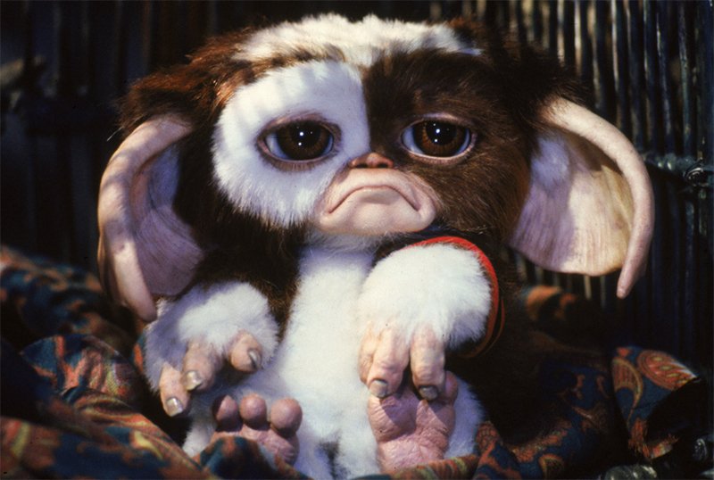 Exclusif: Carl Ellsworth Talks Scrapped Gremlins 3 Script!