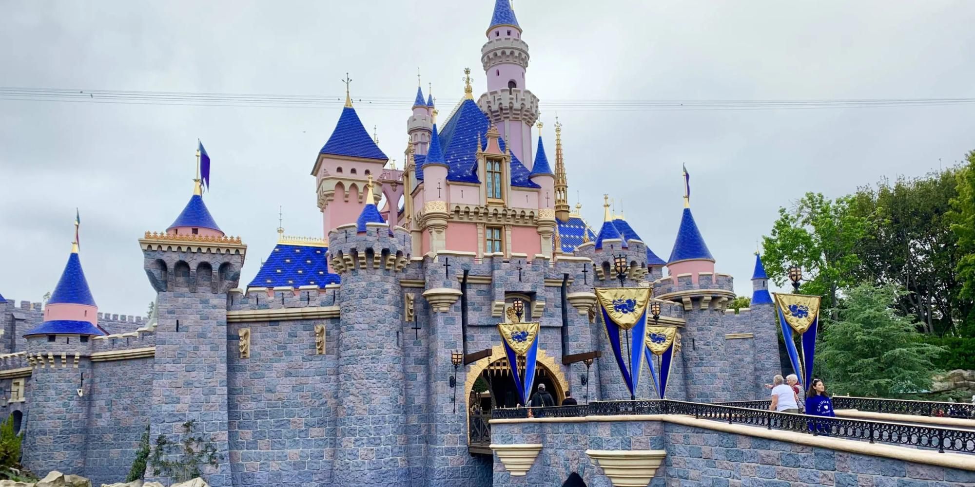 Disneyland Castle