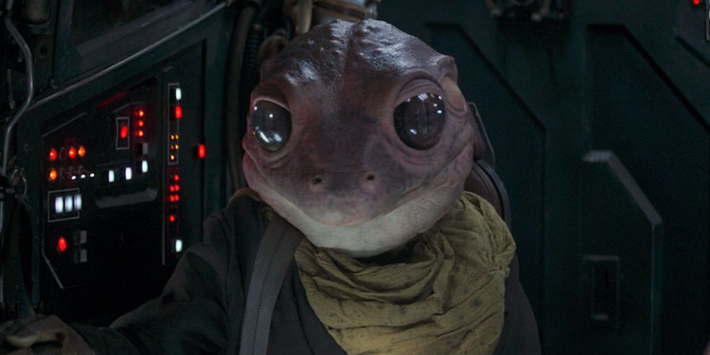 The Mandalorian Season 2 Frog Lady