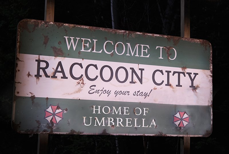 raccooncity