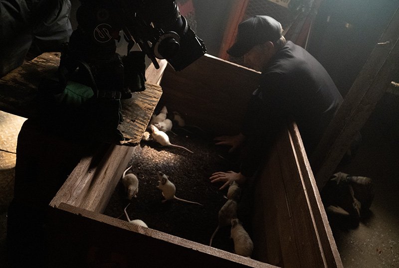 204 Travis Stevens directing rats on set of Jakobs Wife