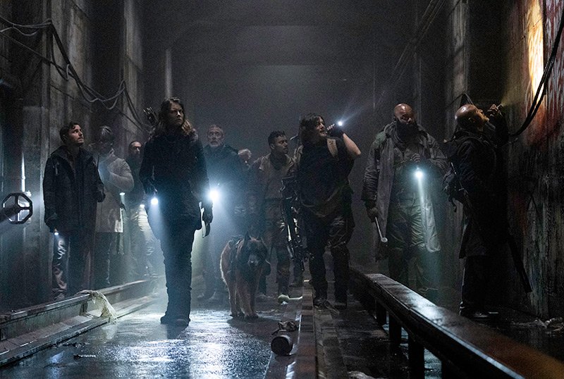 twdheader