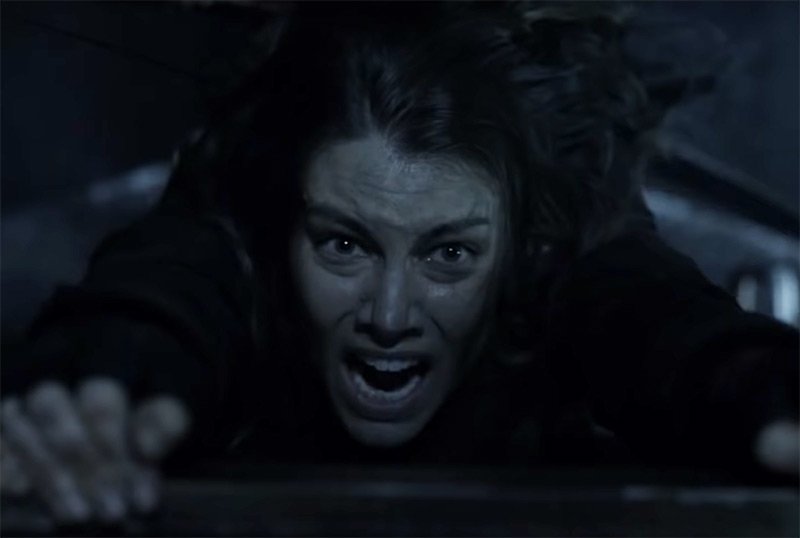 twd11header