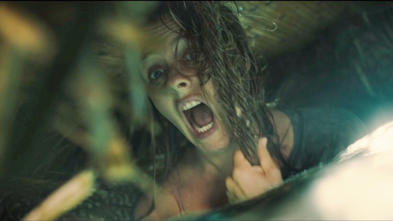 THE REQUIN Still 3