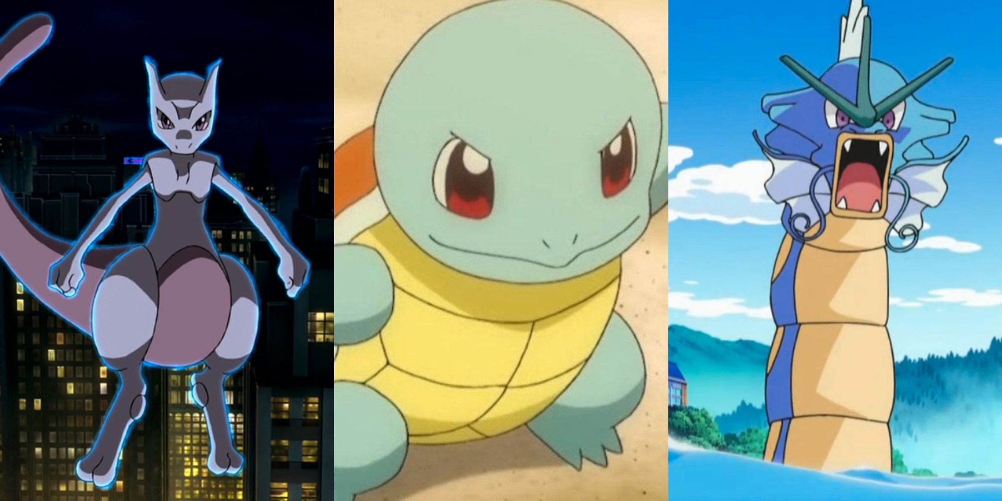 Mewtwo Squirtle Gyarados