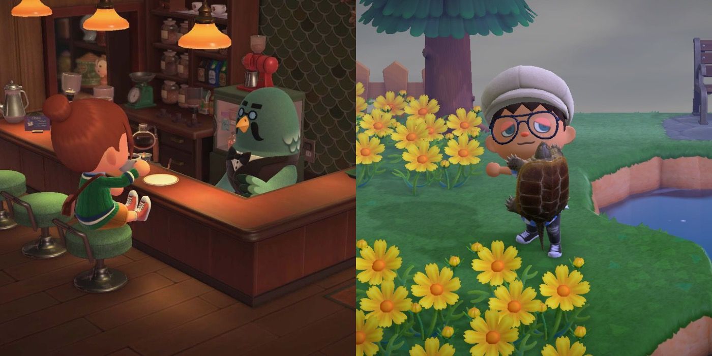 A split image showing Brewsters cafe and a player with a turtle in Animal Crossing New Horizons