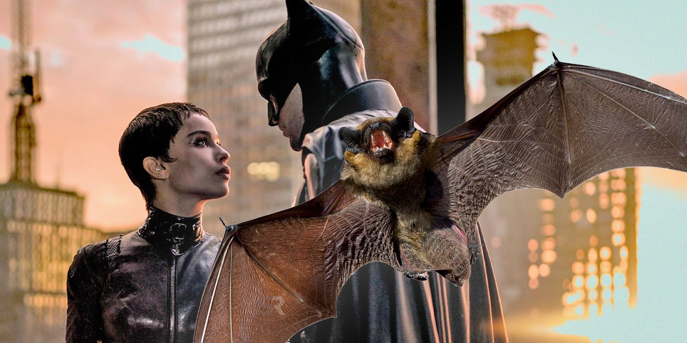 The Batman Bat