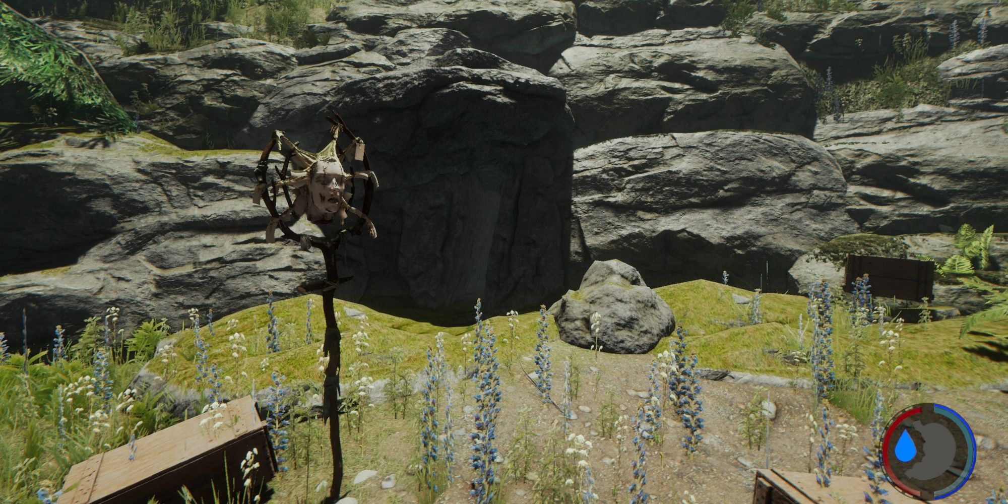 The Forest Cave
