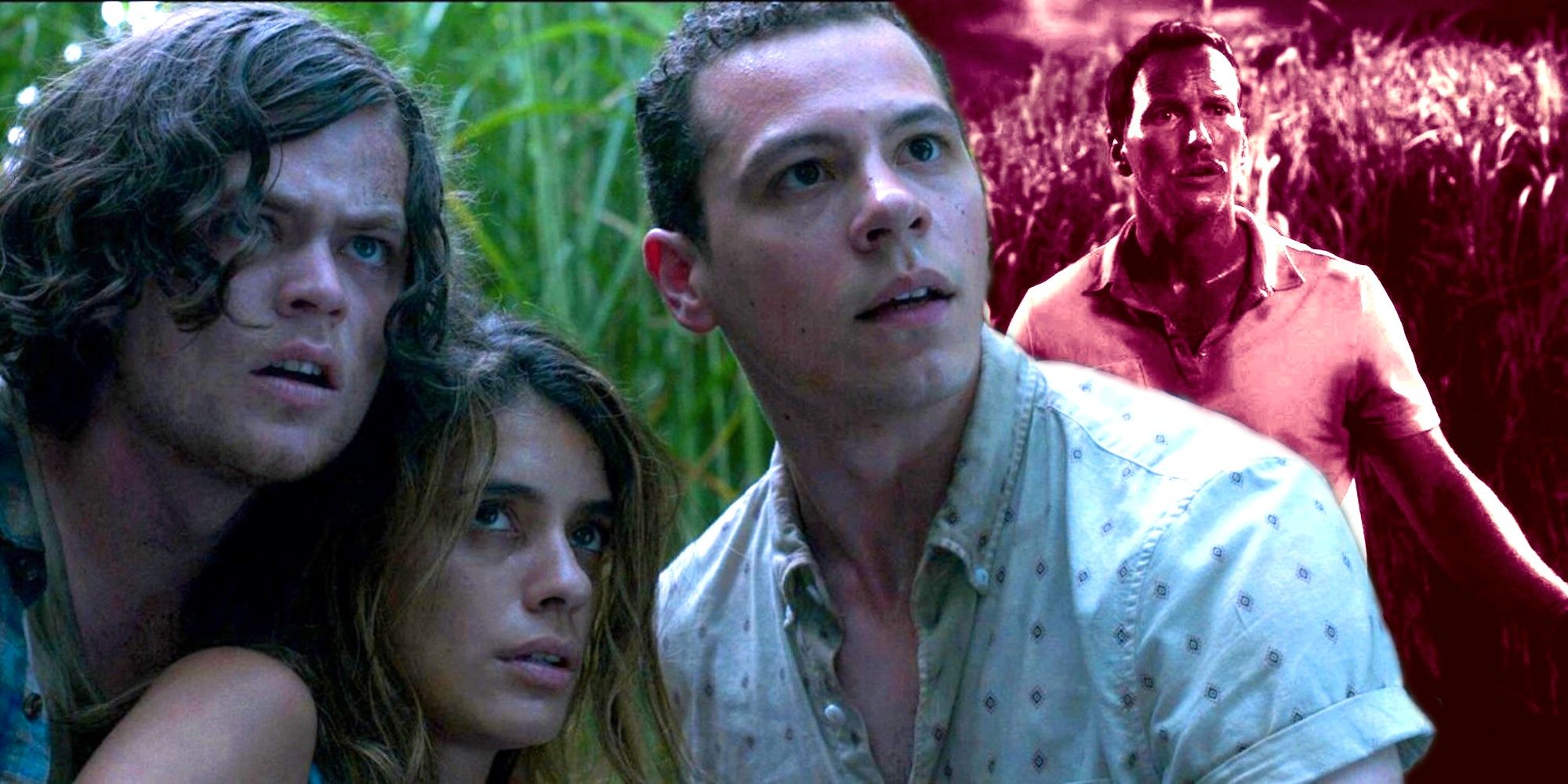 Travis Becky Cal and Ross in In the Tall Grass