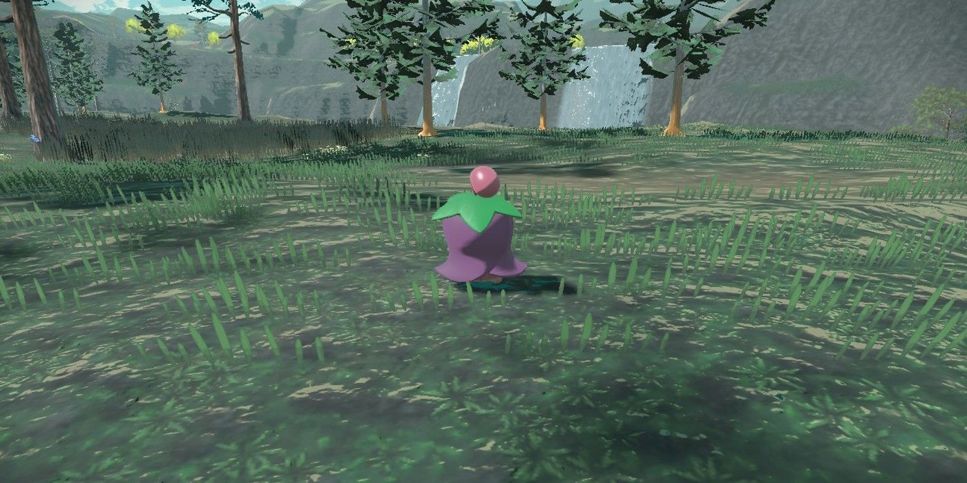 Where To Find Catch Cherrim In Pok mon Legends Arceus