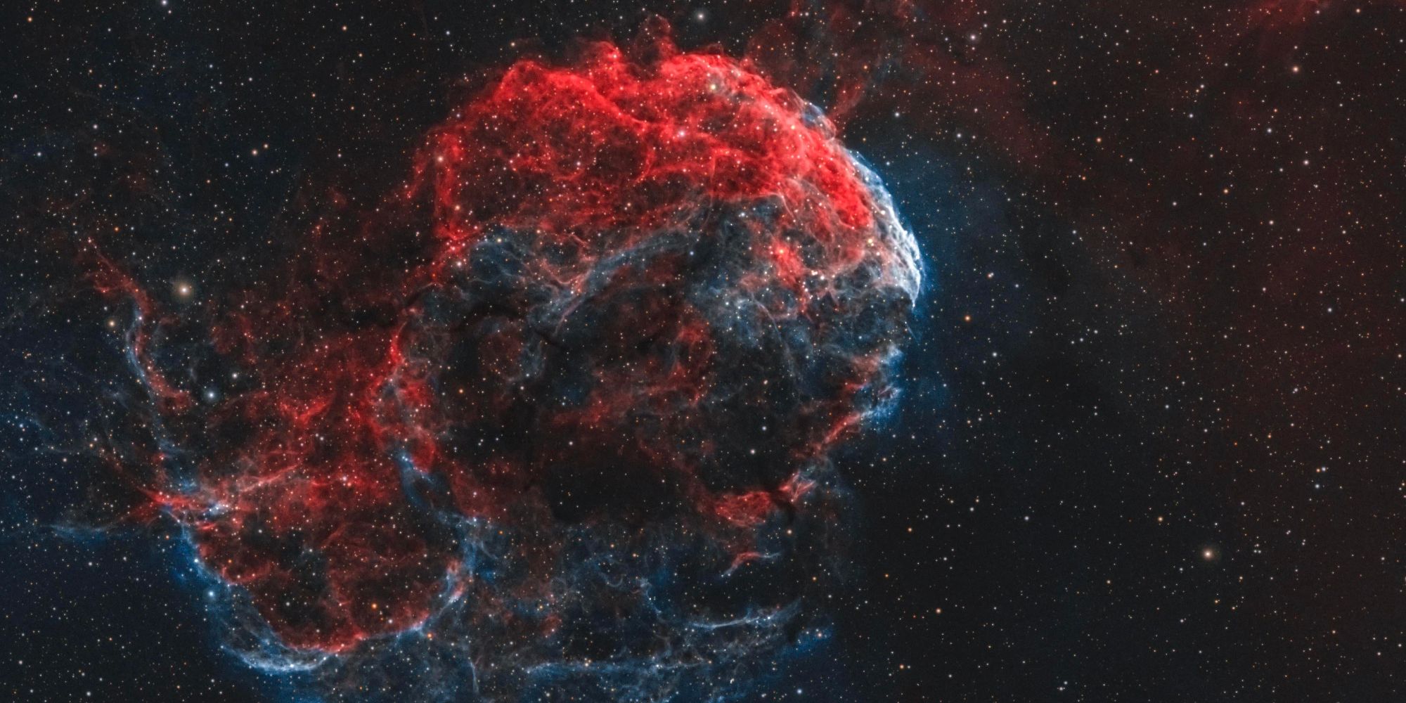 space jellyfish photo reddit