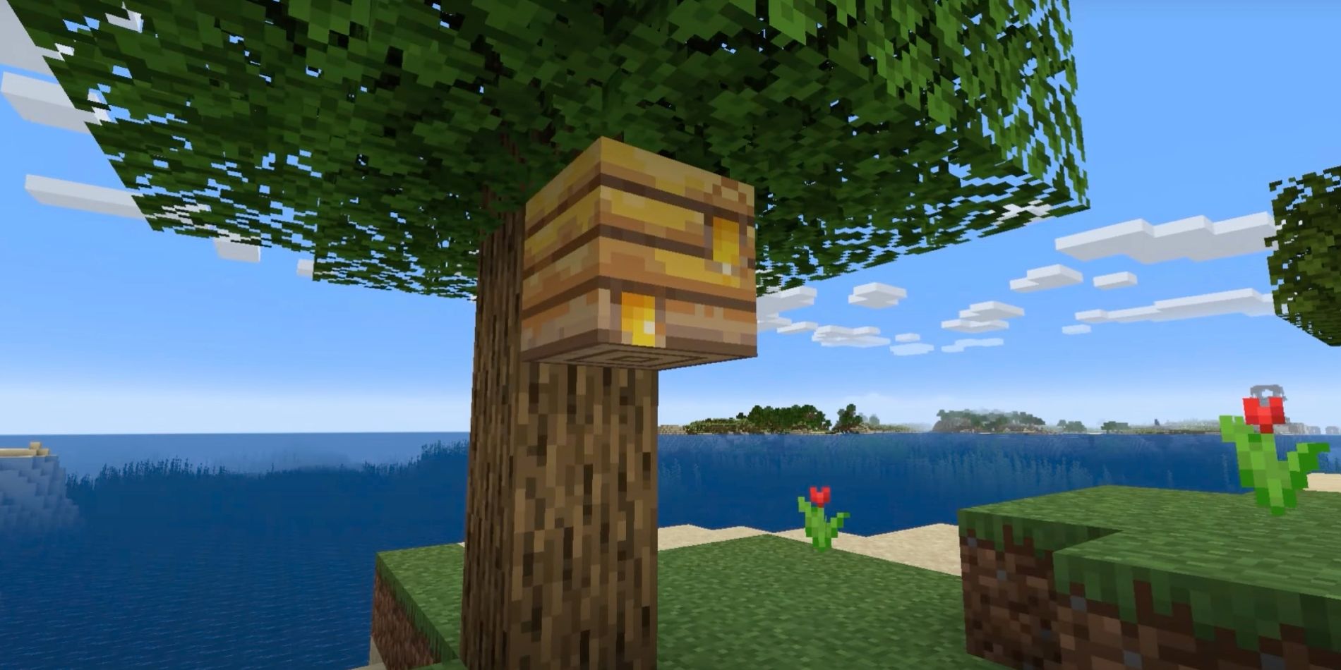 How to Get Use Honeycomb in Minecraft Bees Nest Honey