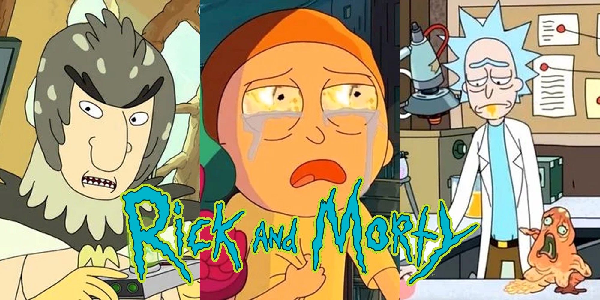 Split image of Bird Person Morty and Rick from Rick and Morty
