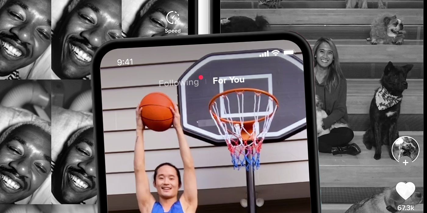 TikTok different creators
