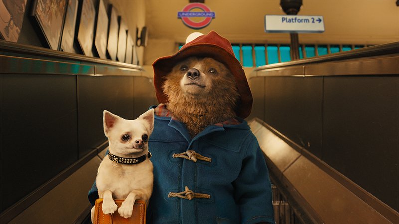paddington peru