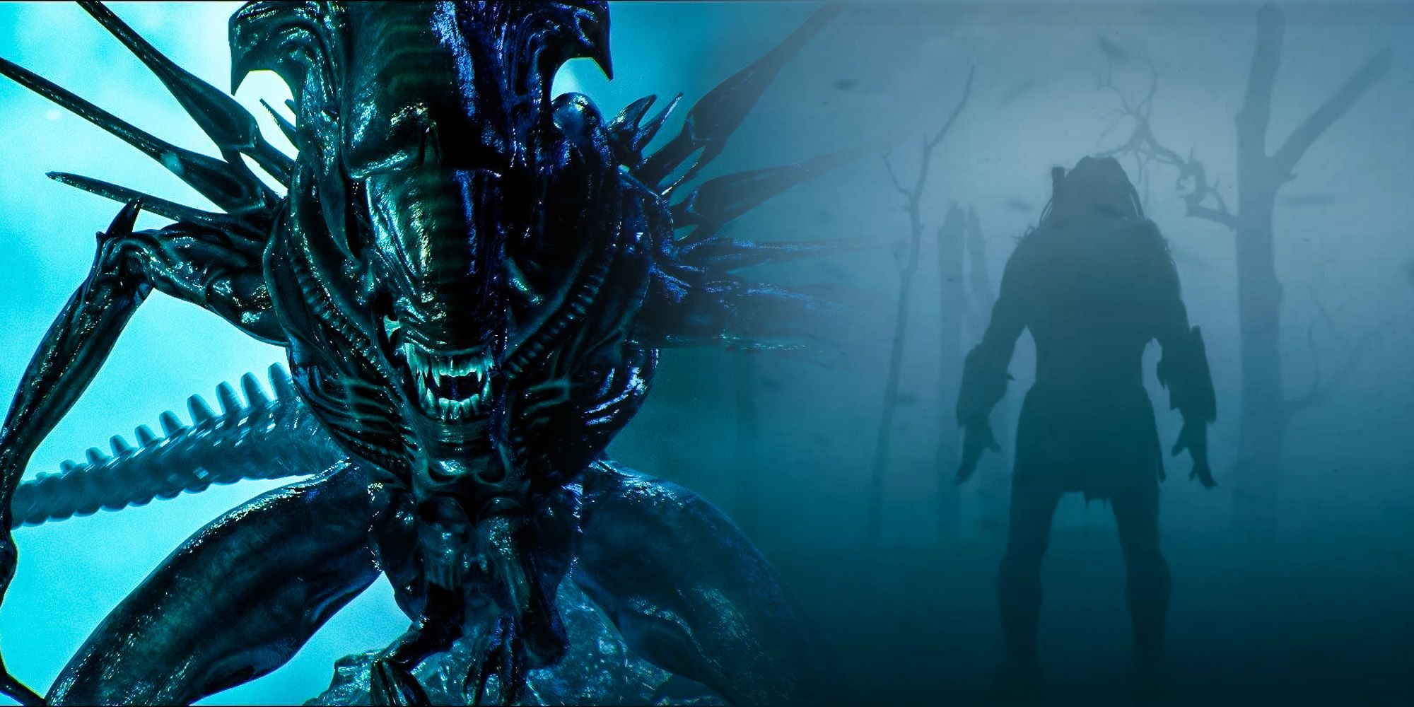 Predator prey alien franchise queen