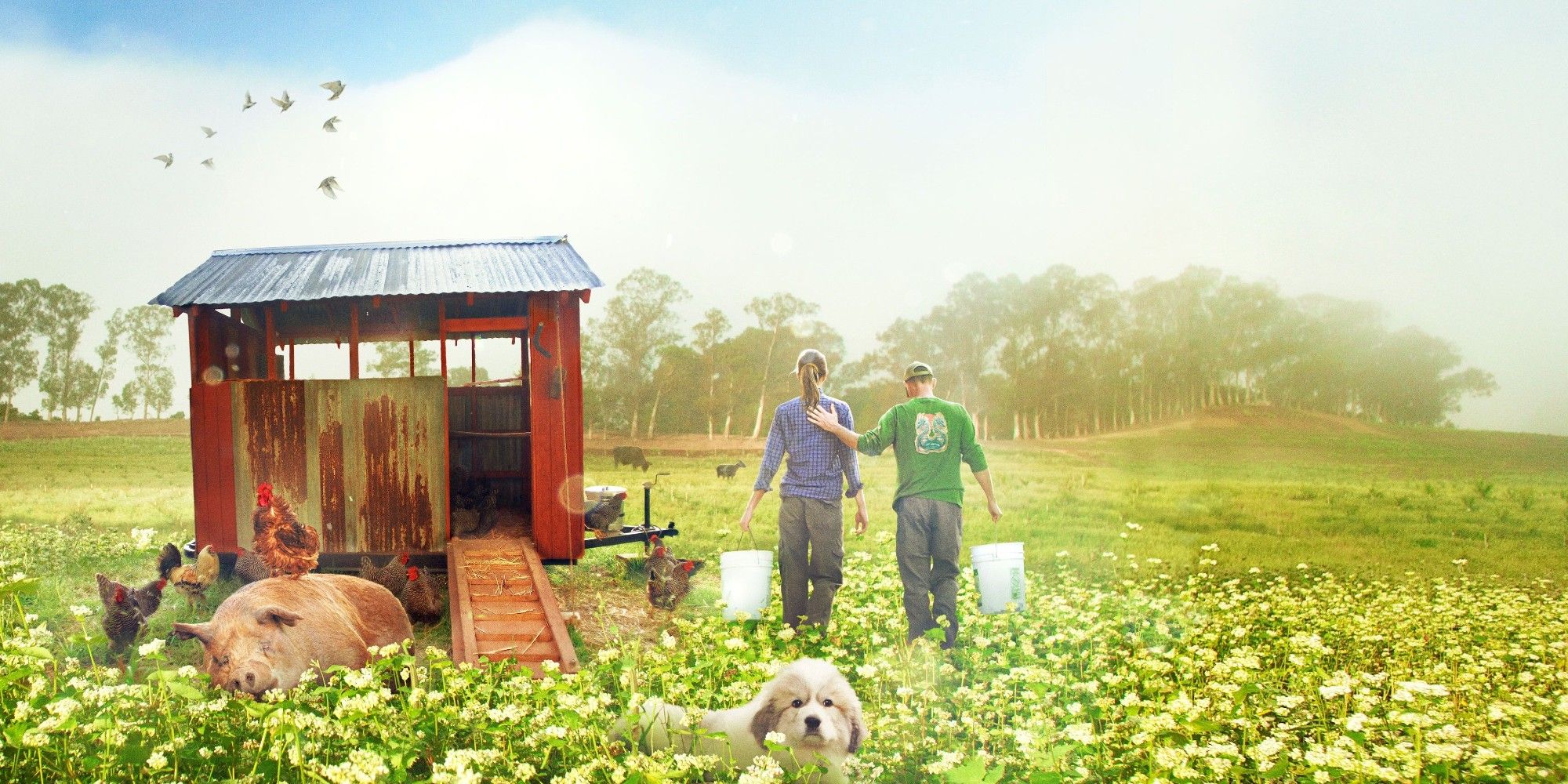 The Biggest Little Farm