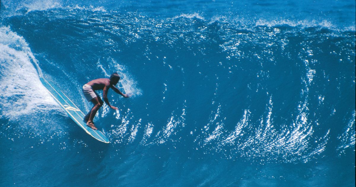 A surfer in Five Summer Stories