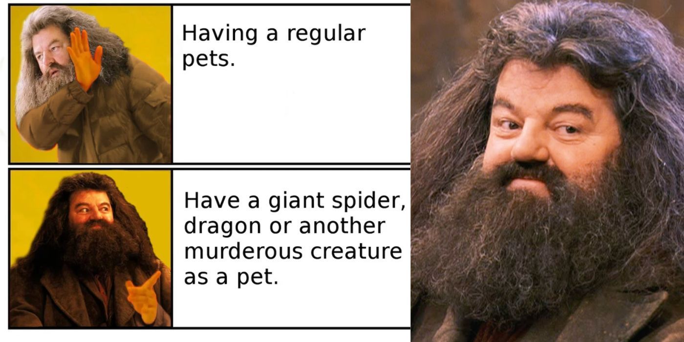 Hagrid Meme Feature Image
