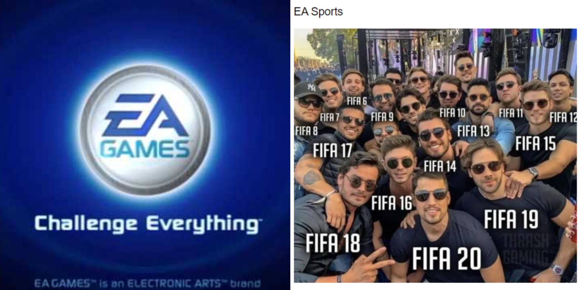 9 memes qui resument parfaitement EA