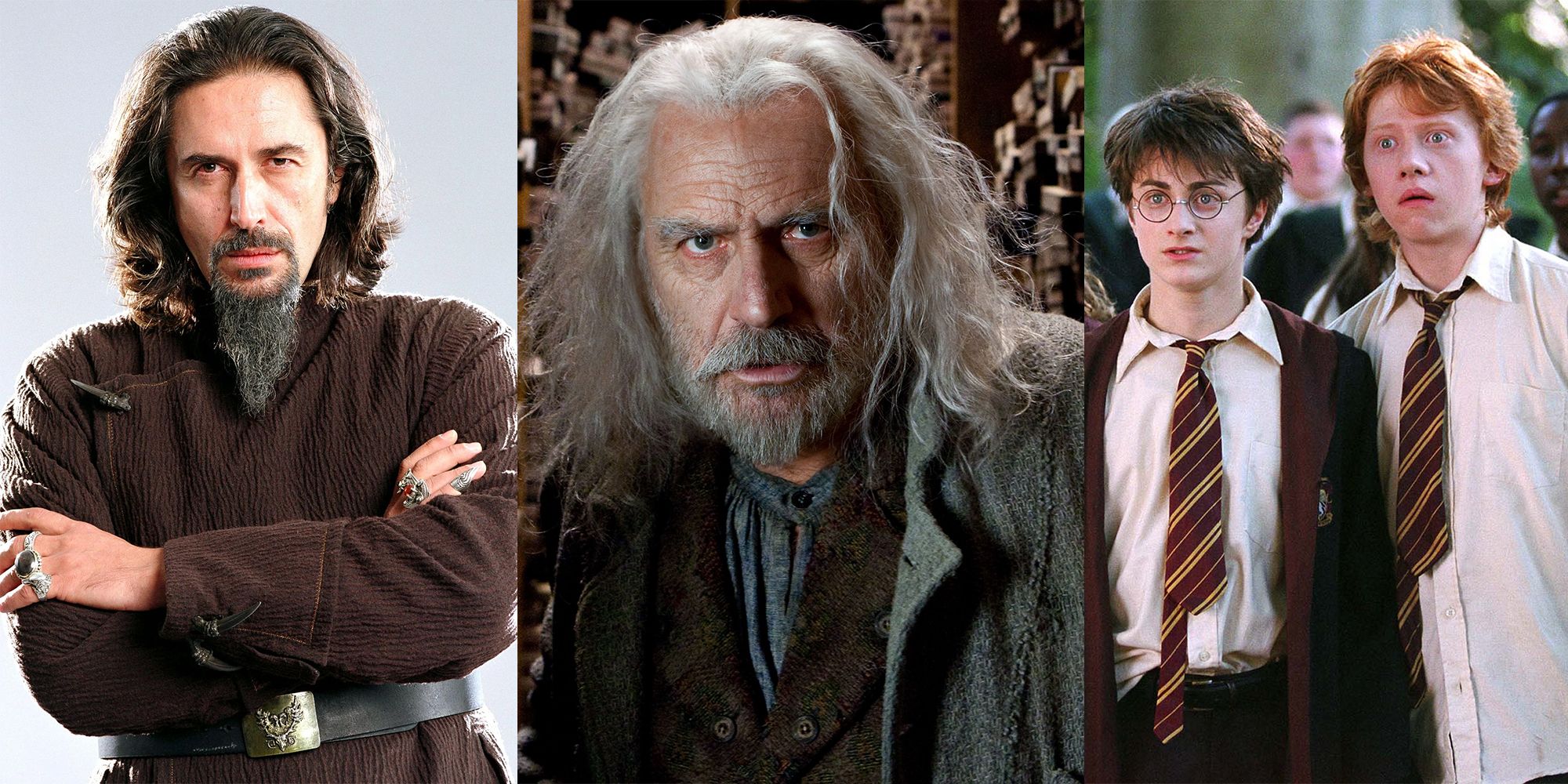 Harry Potter Des morts de personnages secondaires dont seuls