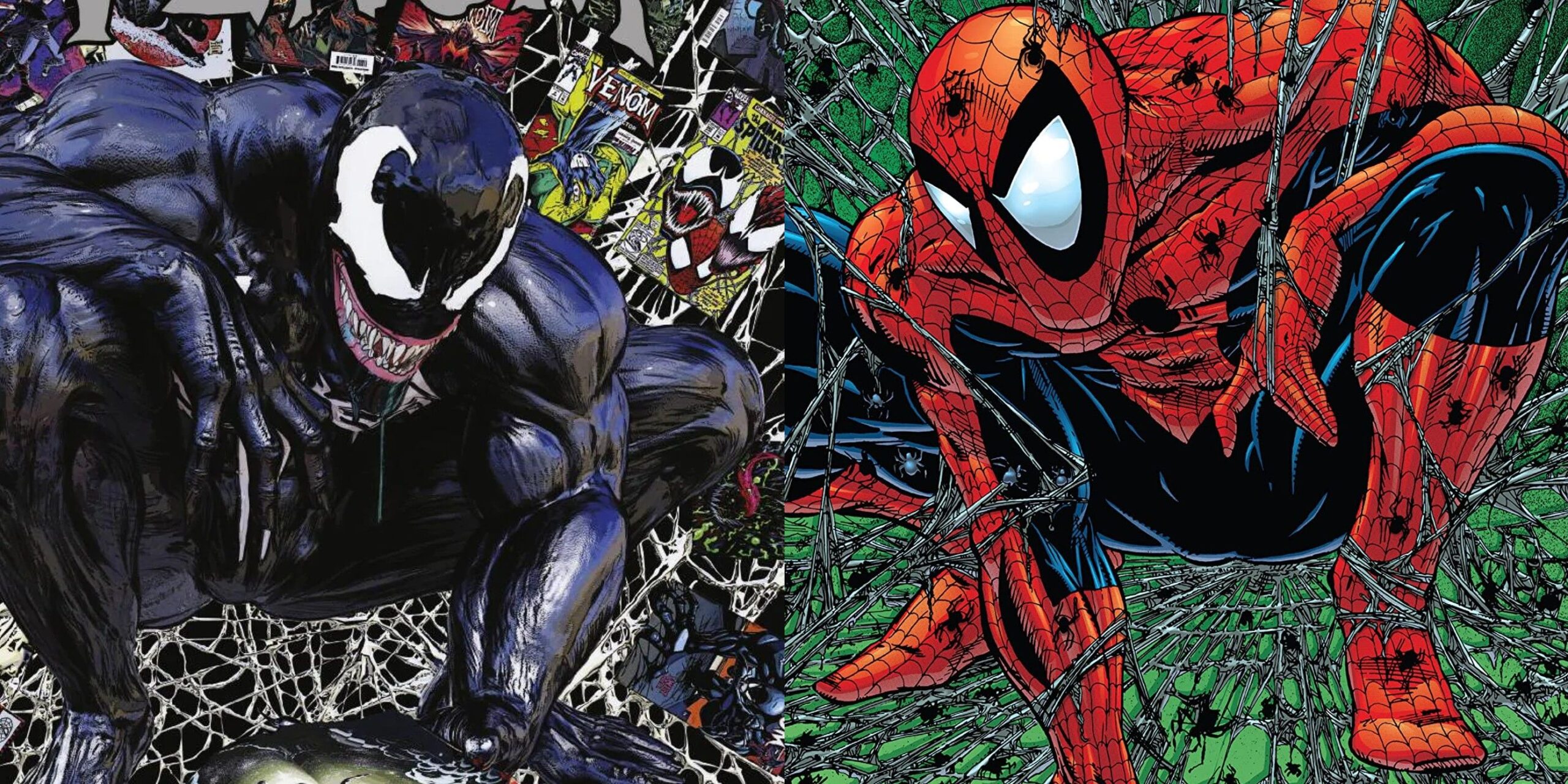 Spider Man vs Venom scaled