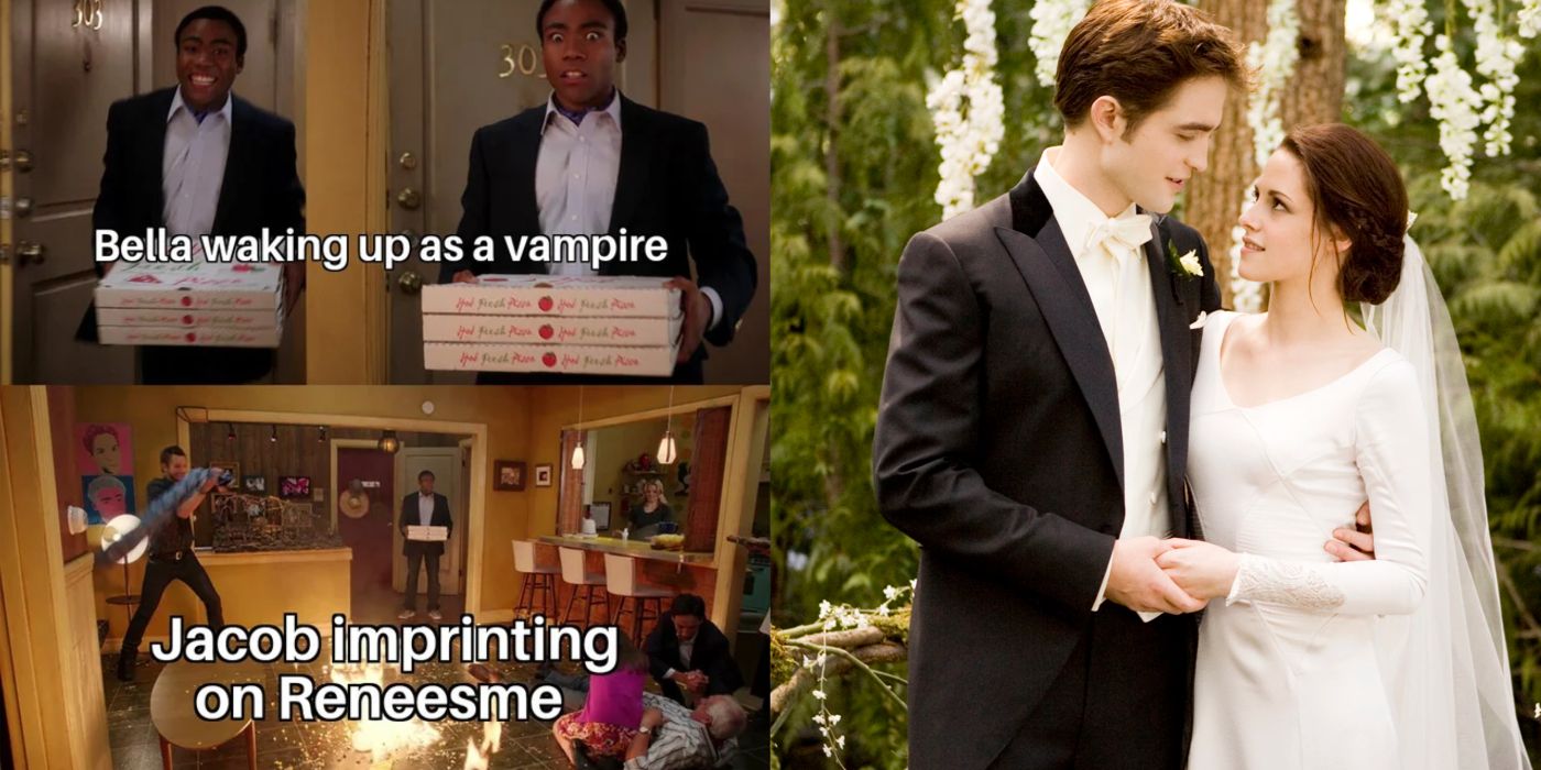 Twilight 10 memes qui resument parfaitement la relation entre
