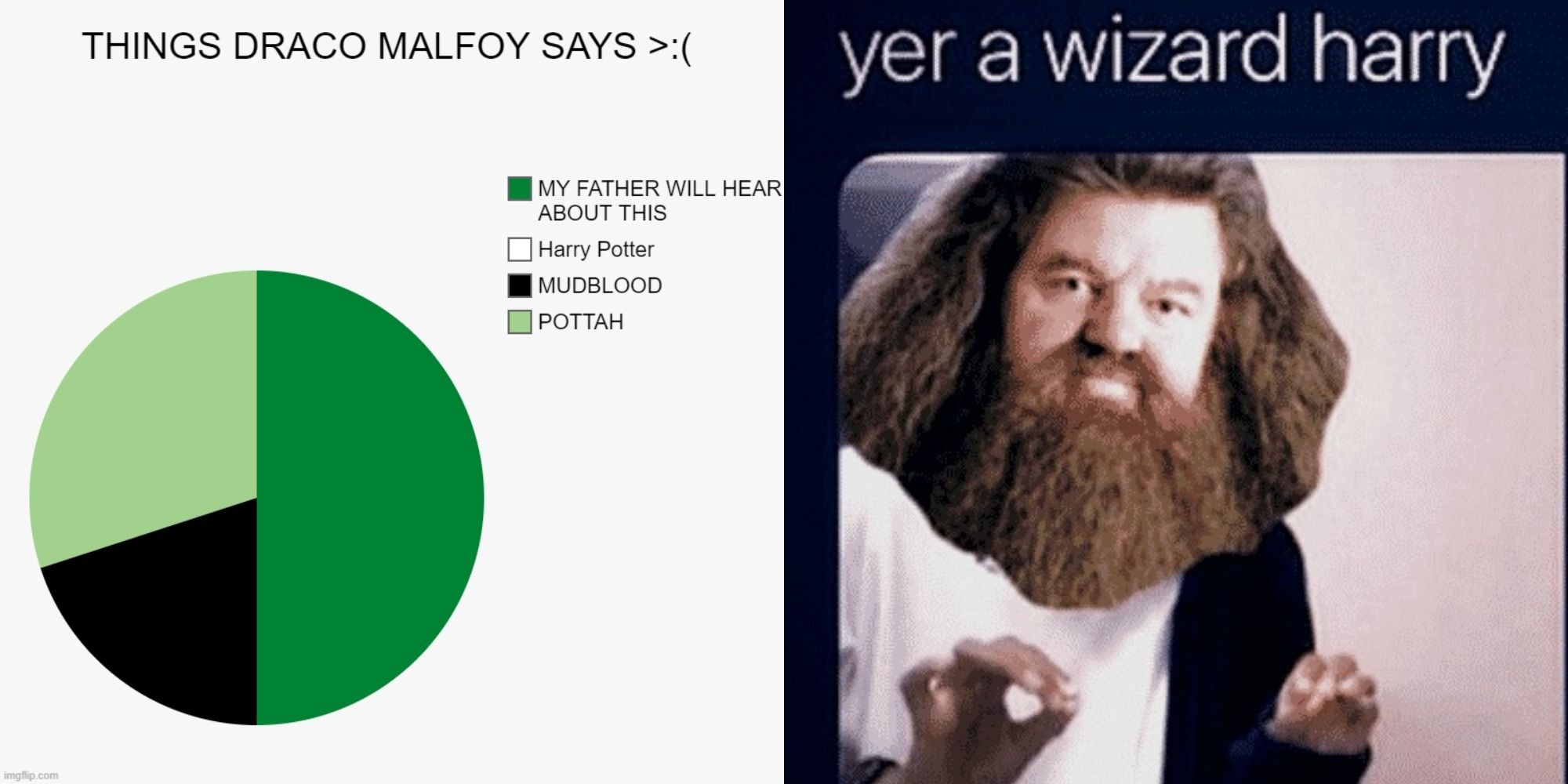 Harry Potter 15 memes qui resument la pierre du