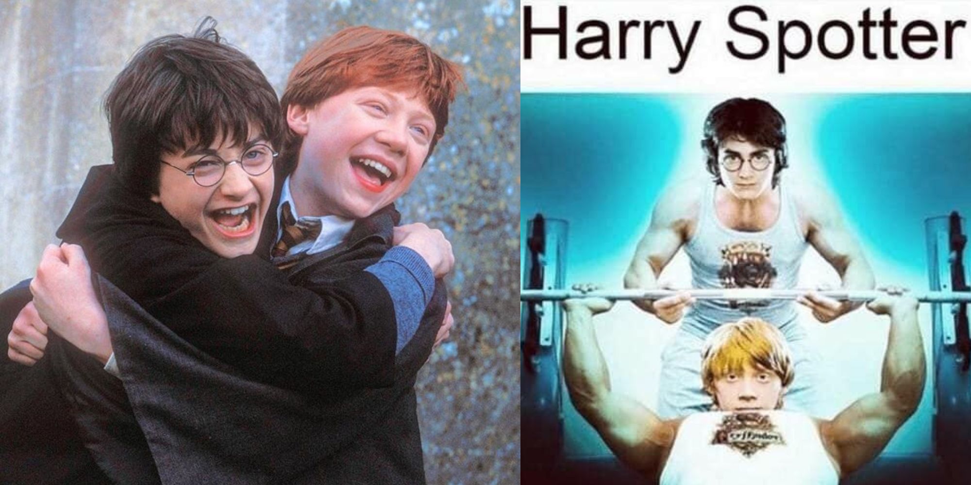 Split image of Harry and Ron hugging and a Harry and Ron meme in Harry Potter