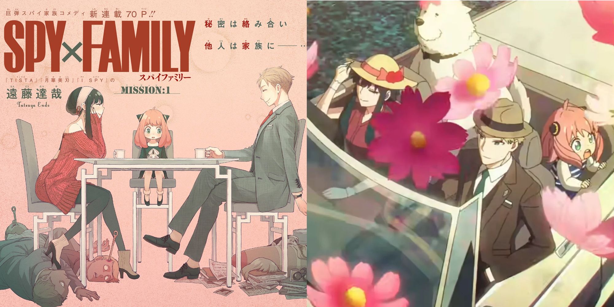 Spy x Family story arcs ranked