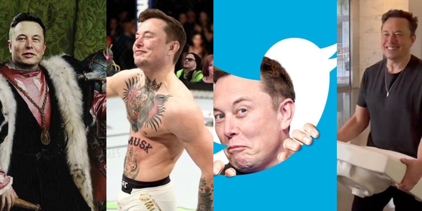 Split Images Of Elon Musk's Takeover Of Twitter