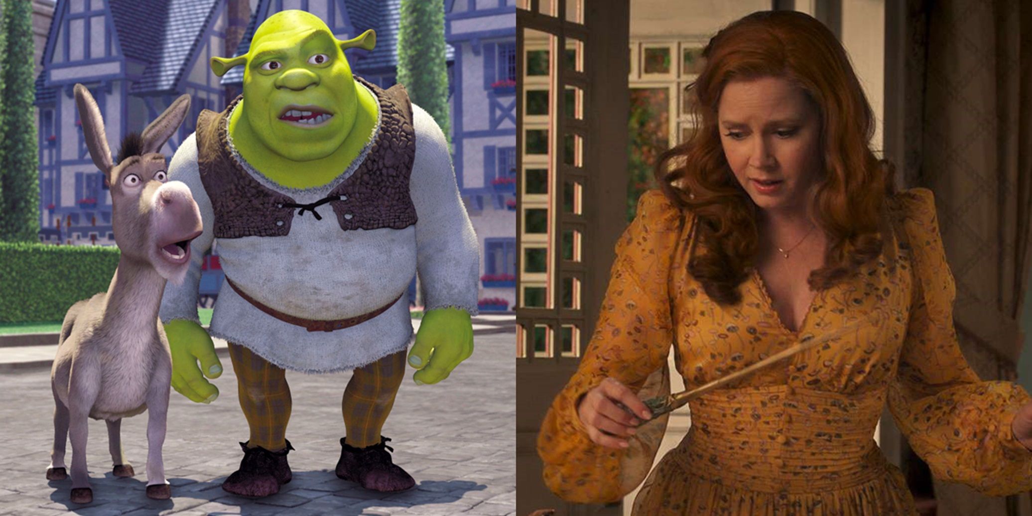 Split_image_of_Shrek_and_Donkey_and_Amy_Adams_in_Disenchanted