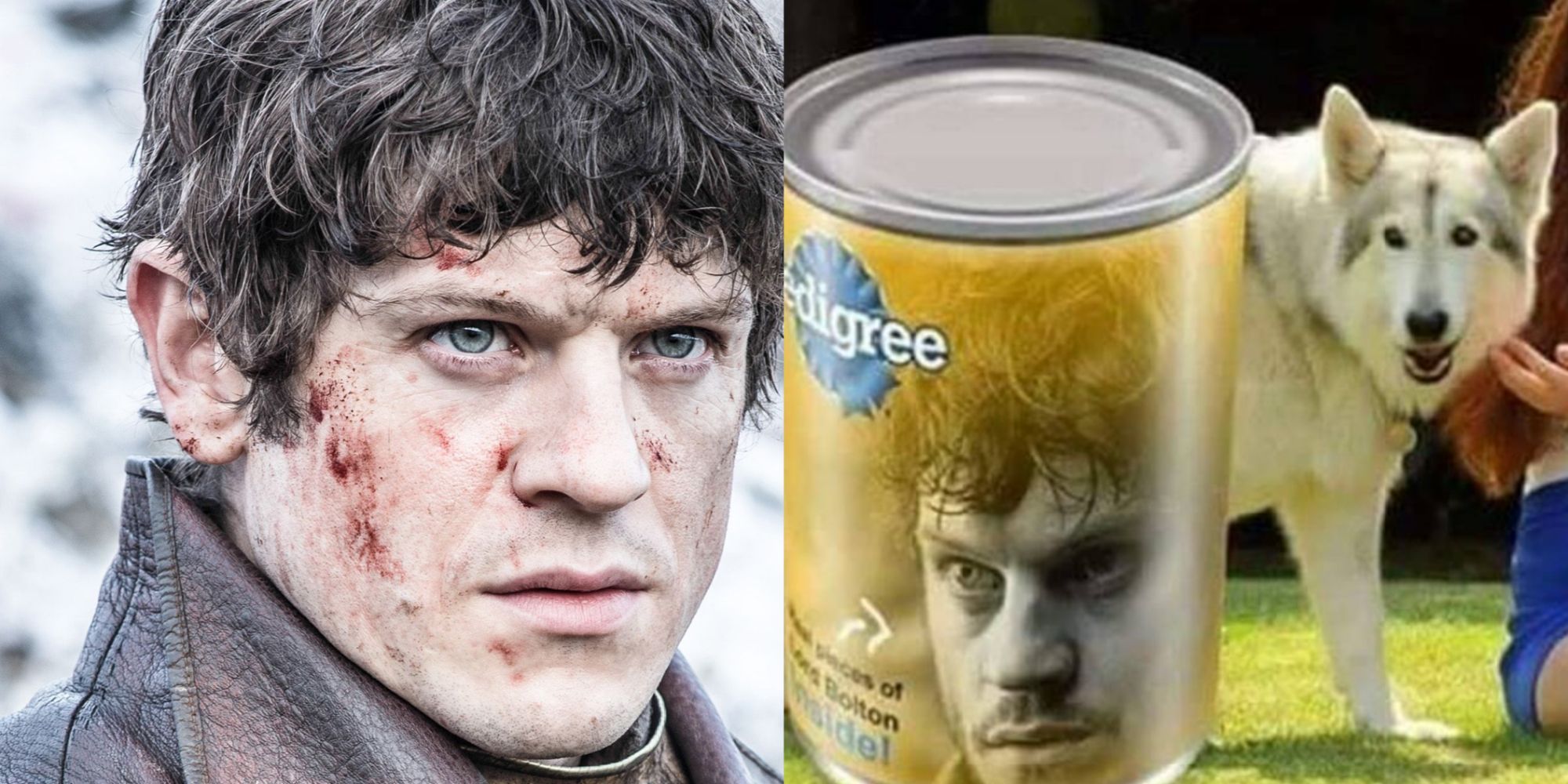 A split image of Ramsay Bolton from Game of Thrones and a meme
