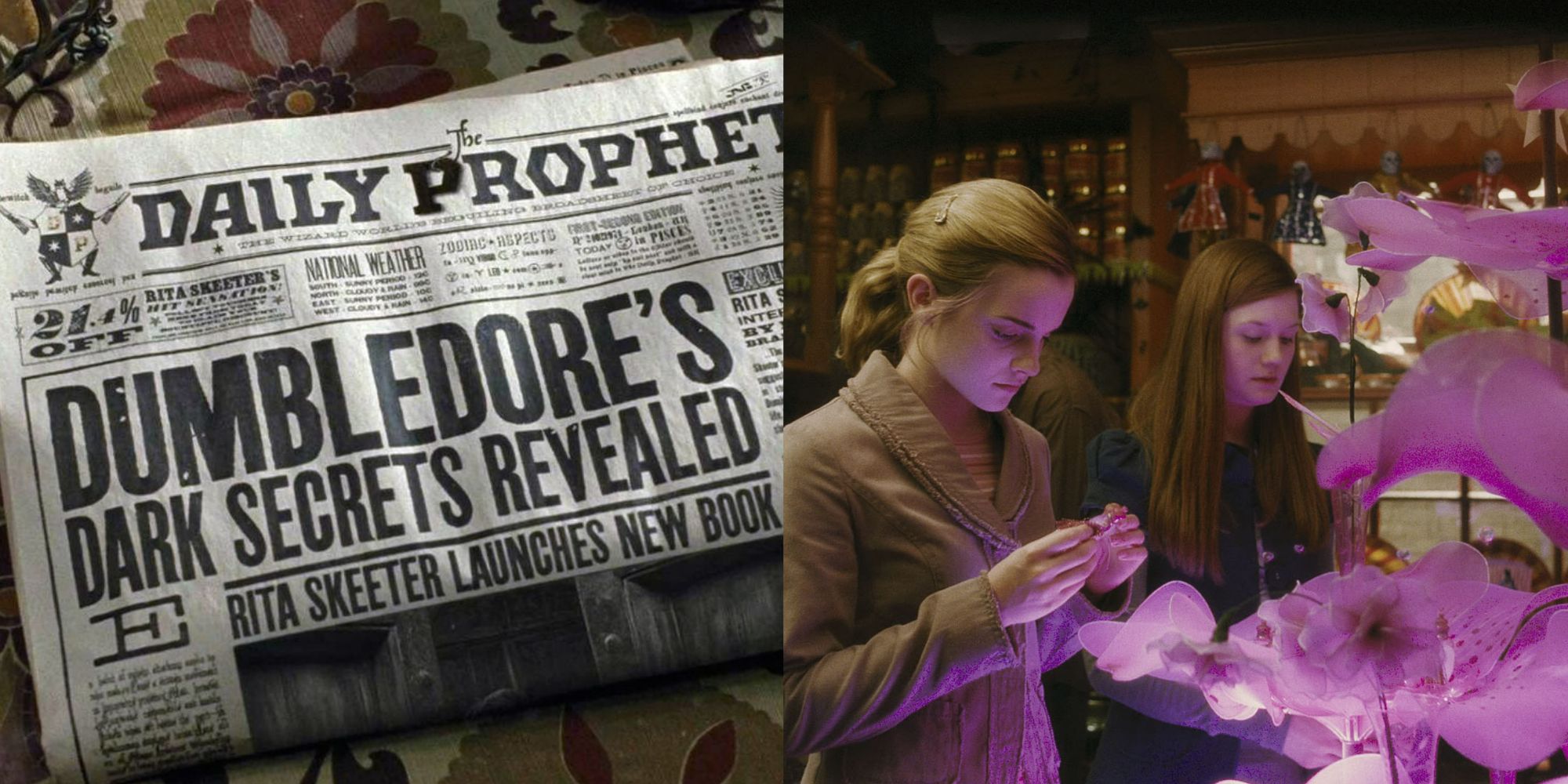 A split image showing the Daily Prophet on the left and Hermione looking at Love Potions on the right from Harry Potter.