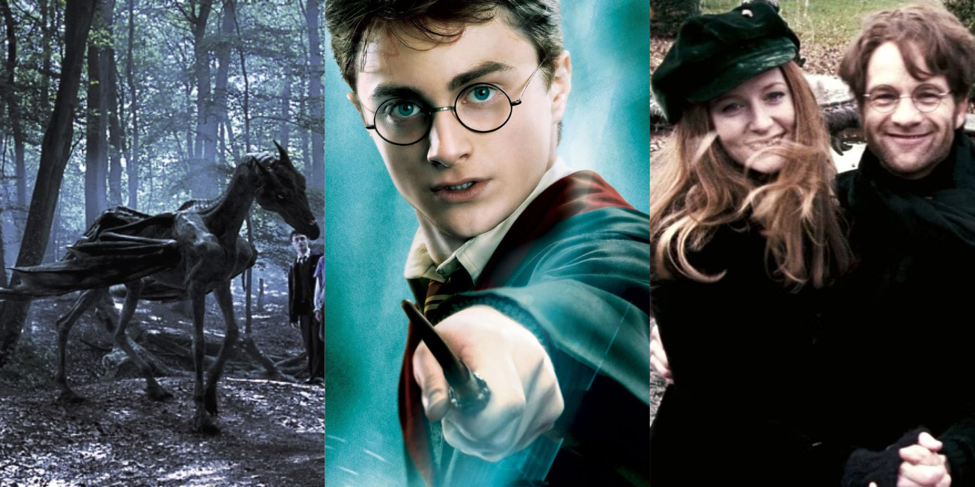 Split image of a thestral, Harry Potter, and James and Lily Potter