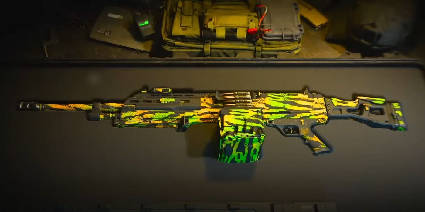 Guncase View for the RAAL MG in MW2