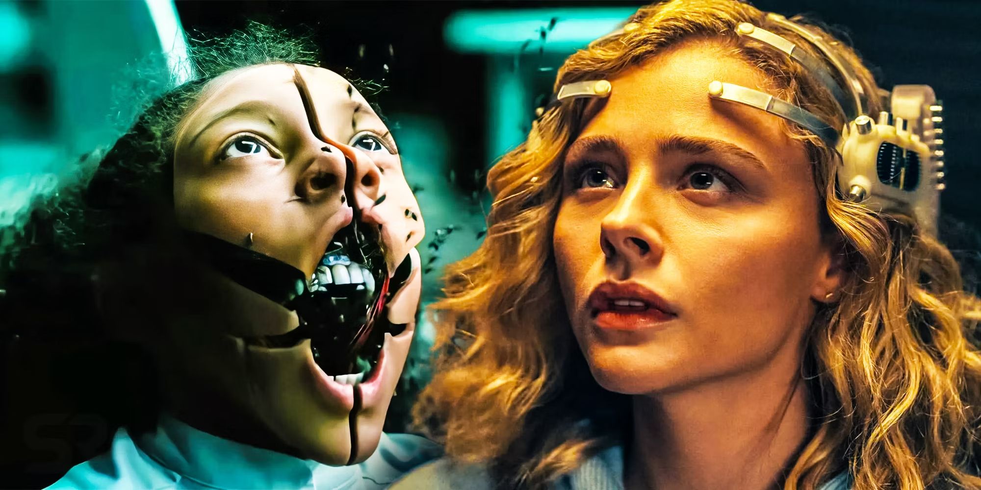 The-peripheral-Westworld-flies