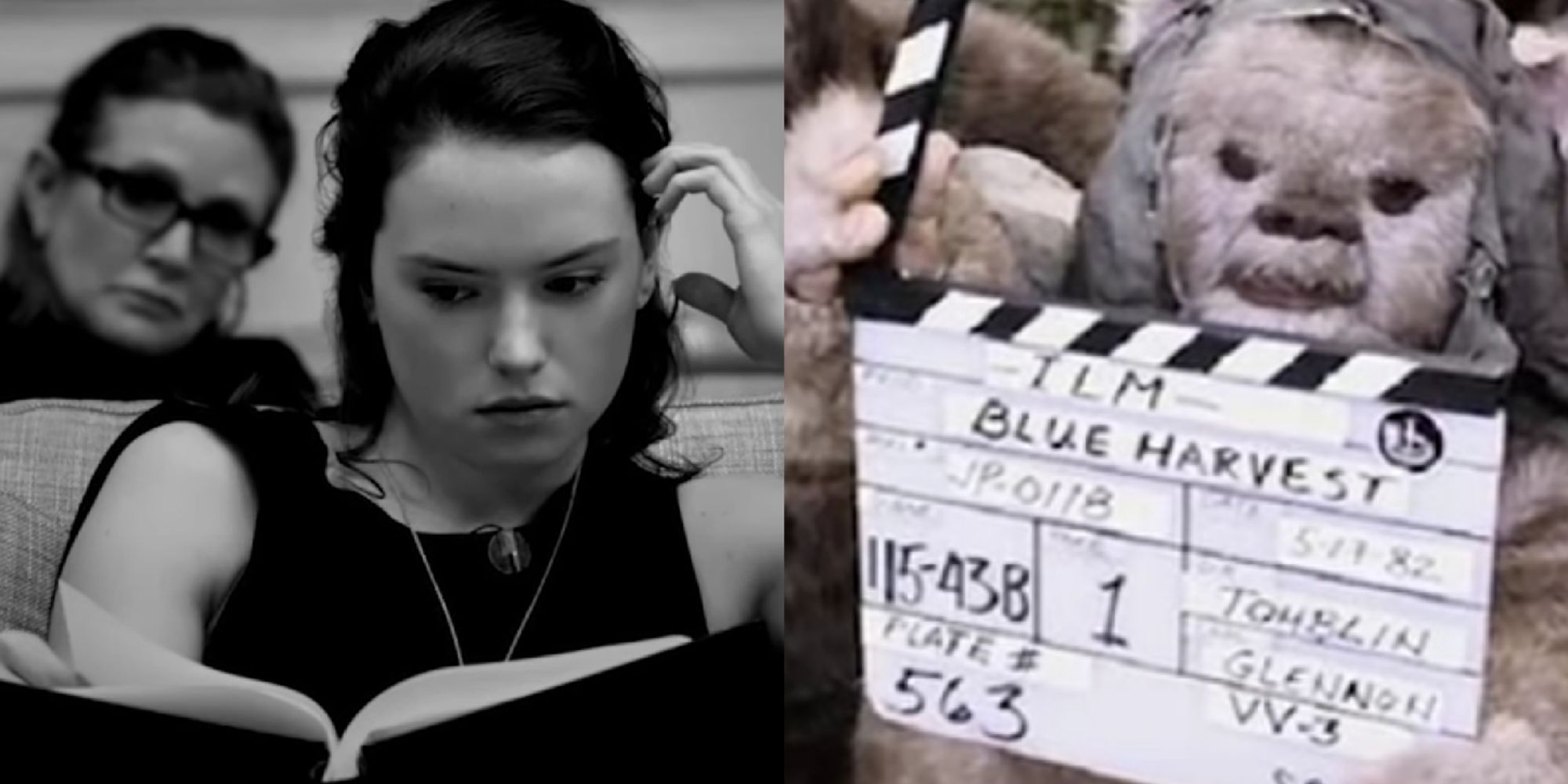 Split image of Daisy Ridley reading a Star Wars script and Ewok holding a marker