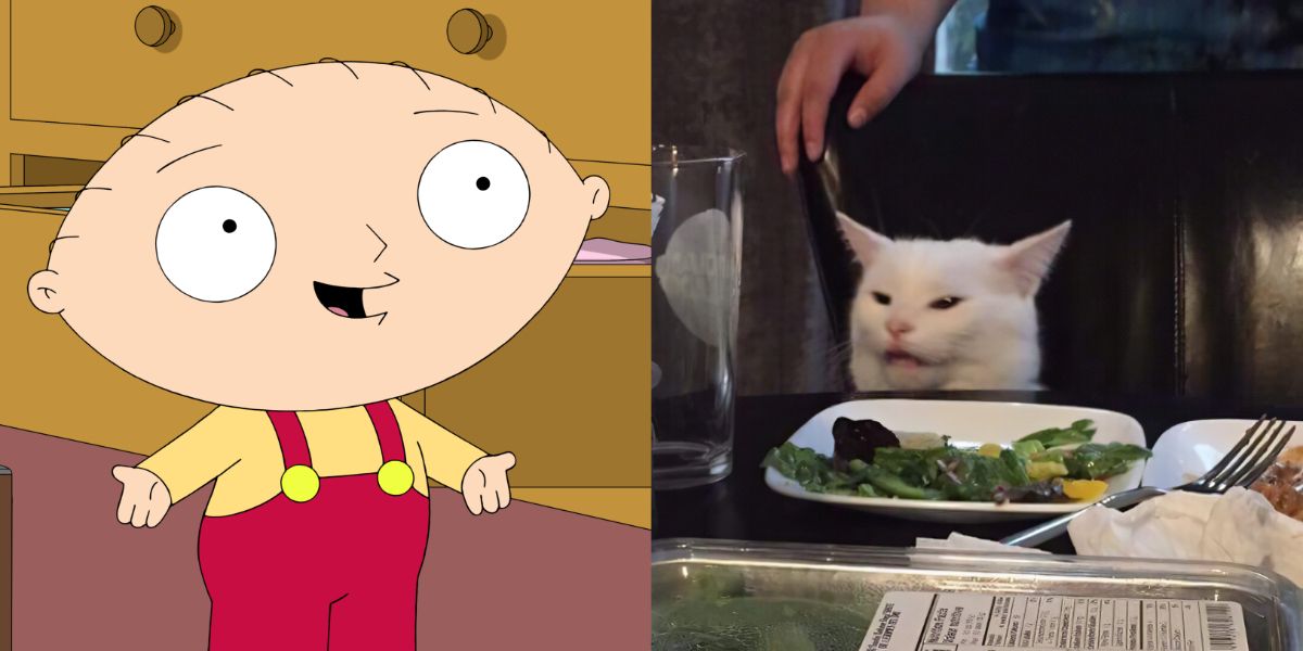 stewie griffin and screaming at cat meme split image