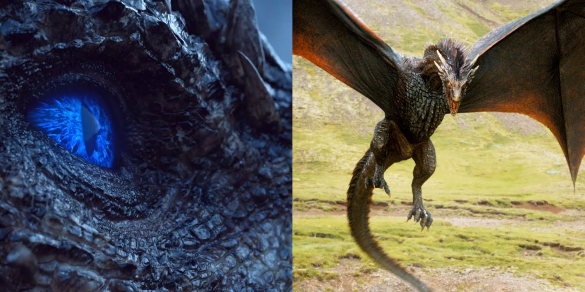 A dragon eye and Drogon flying in Game of Thrones.