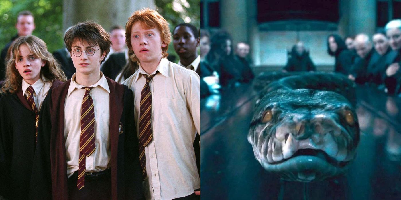 Harry Potter horcruxes