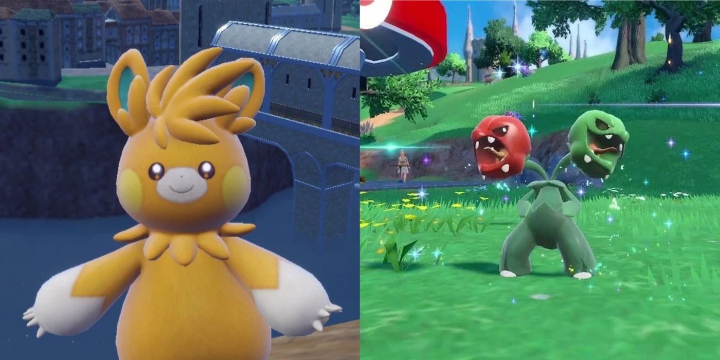 Pawmo and Scovillain in Pokémon in Scarlet and Violet