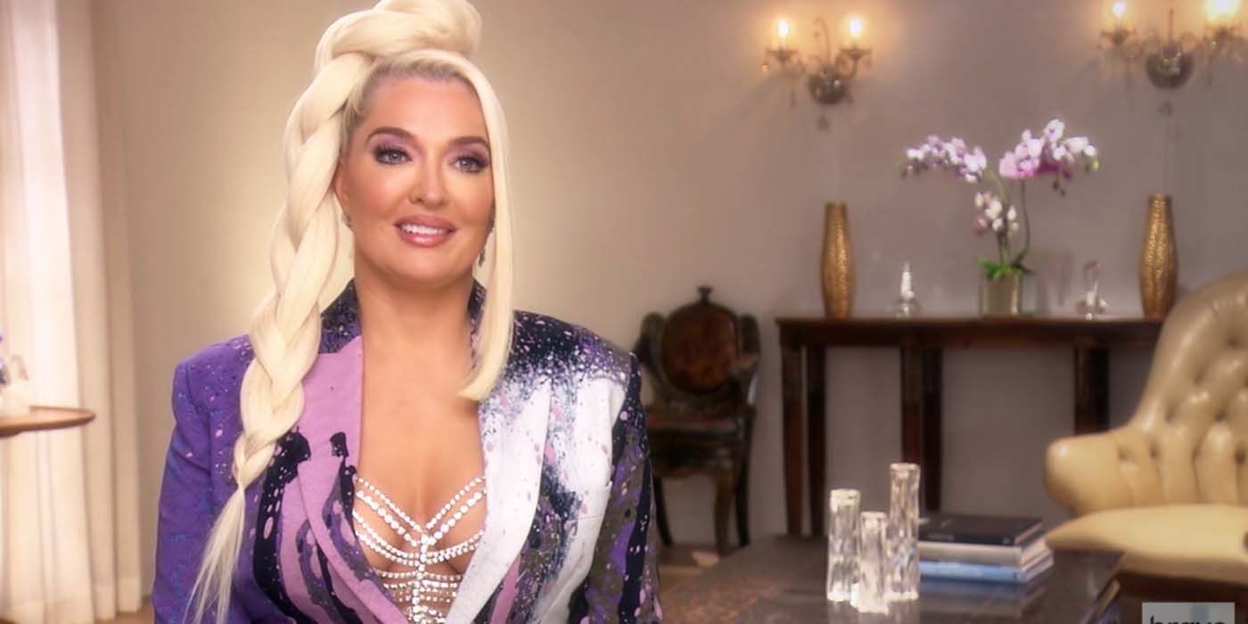Erika Jayne From The Real Housewives of Beverly Hills