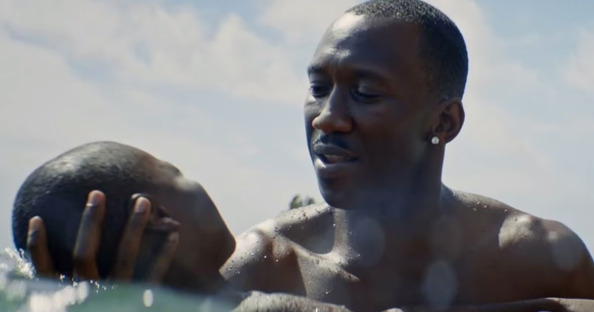 The 2016 coming-of-age drama Moonlight