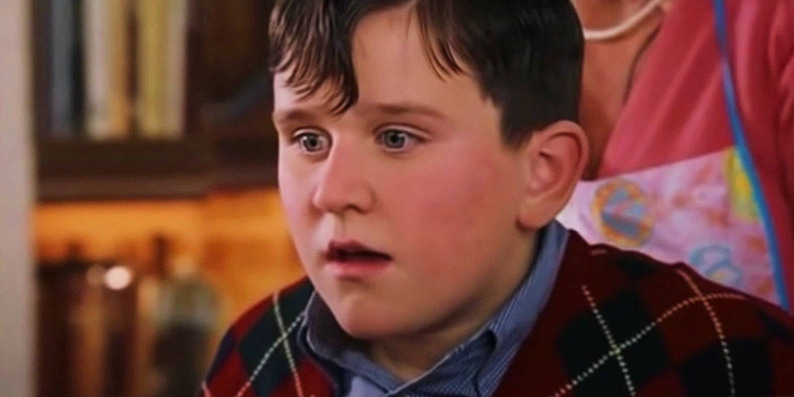 Dudley Dursley in Harry Potter