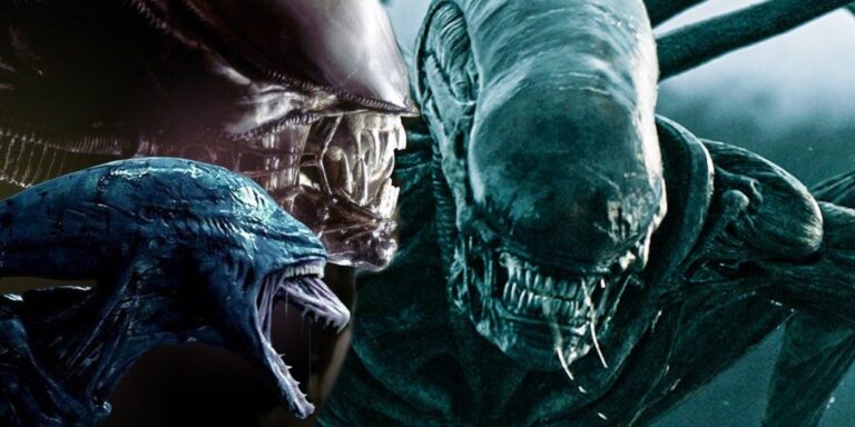 Le vrai nom de l&rsquo;espèce extraterrestre révélé (et ce n&rsquo;est pas un xénomorphe)