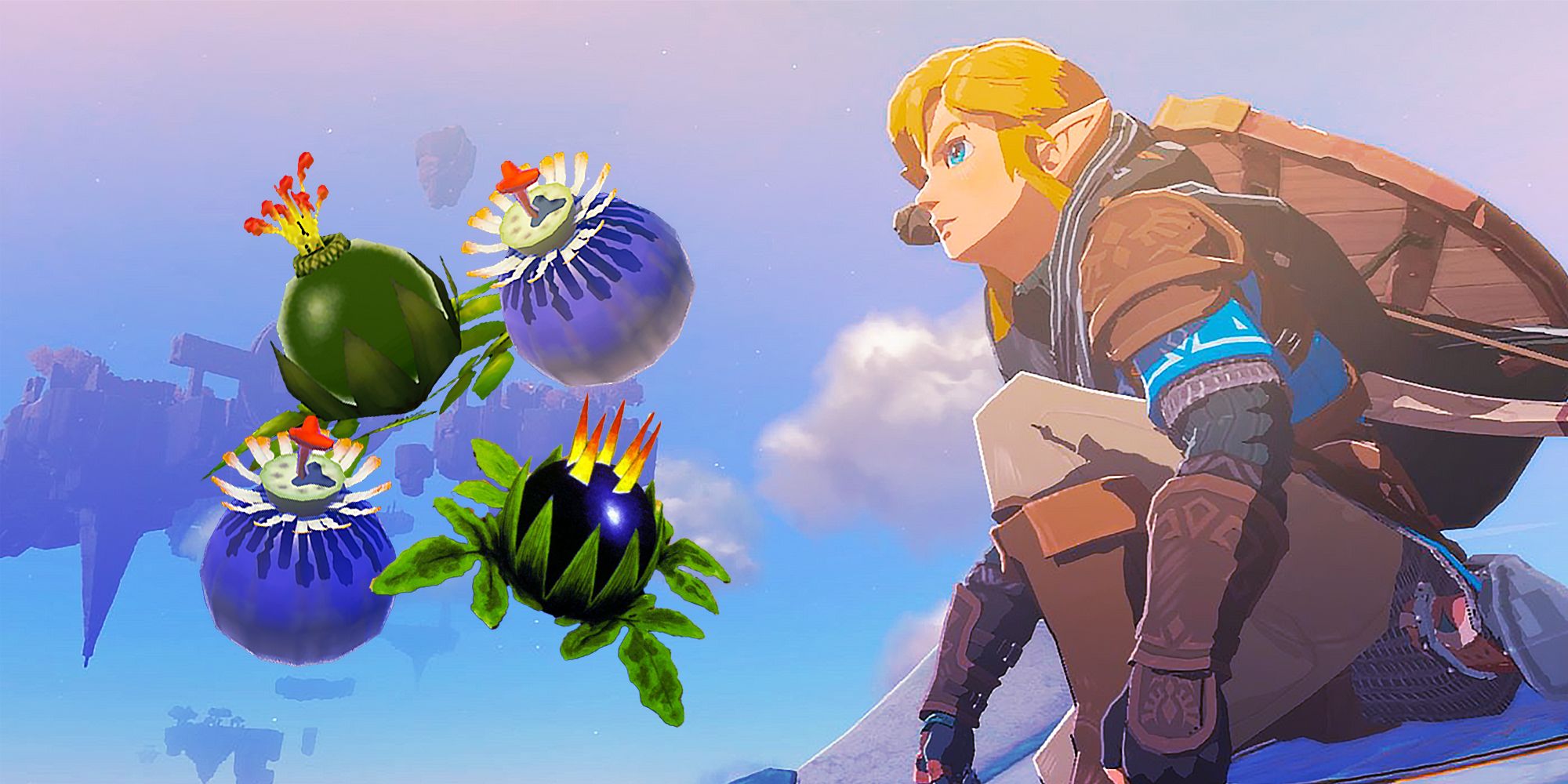 Bomb Flowers next to Link in Zelda: Tears of the Kingdom