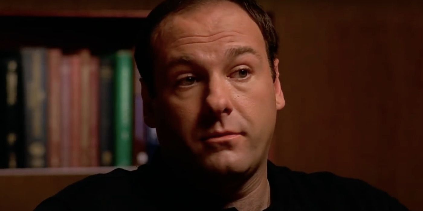 James Gandolfini as Tony in The Sopranos