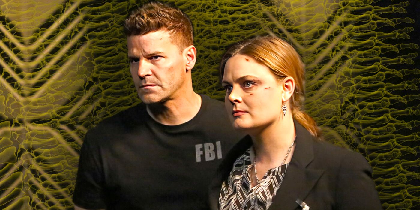 Bones Revival Chances reçoit une mise à jour prudente du créateur: "Il faudrait un million d'agents et d'avocats"