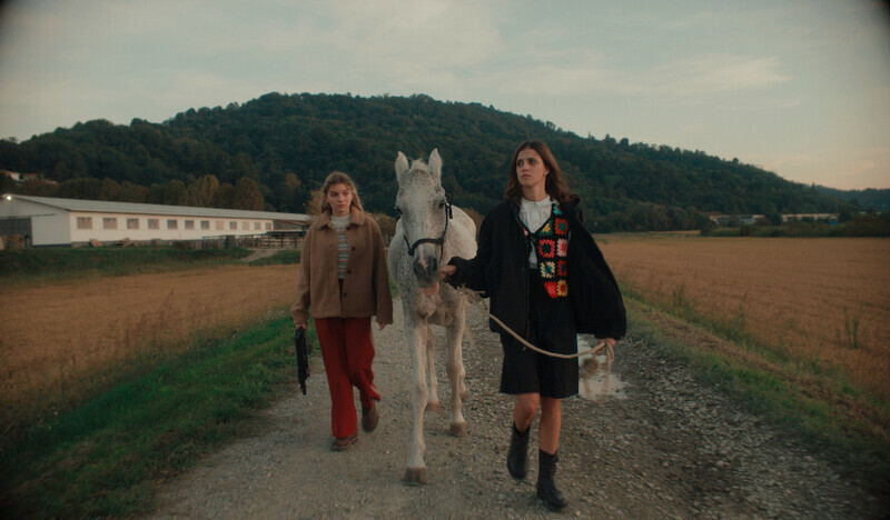Female Filmmakers in Focus Carolina Cavalli on Amanda Interviews